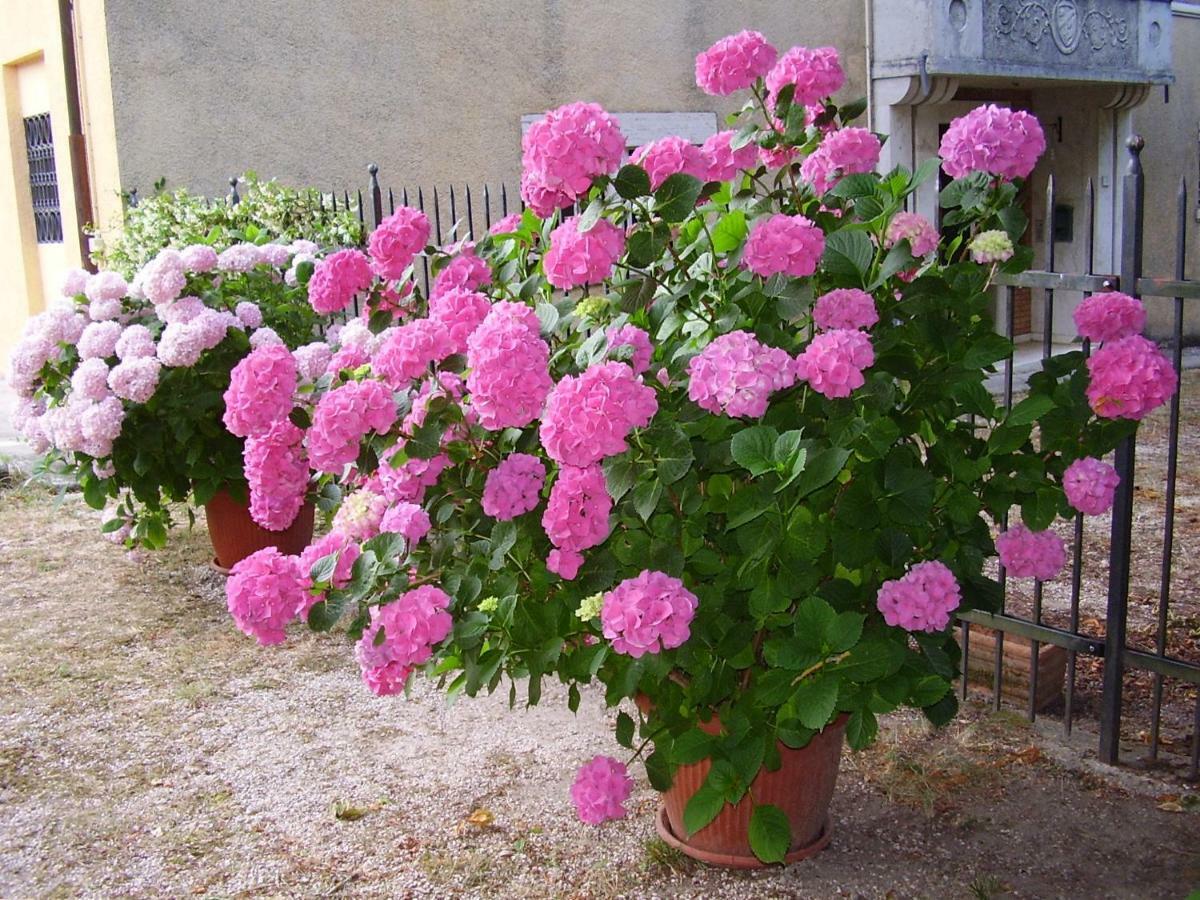 Agriturismo Dea Valfabbrica Esterno foto