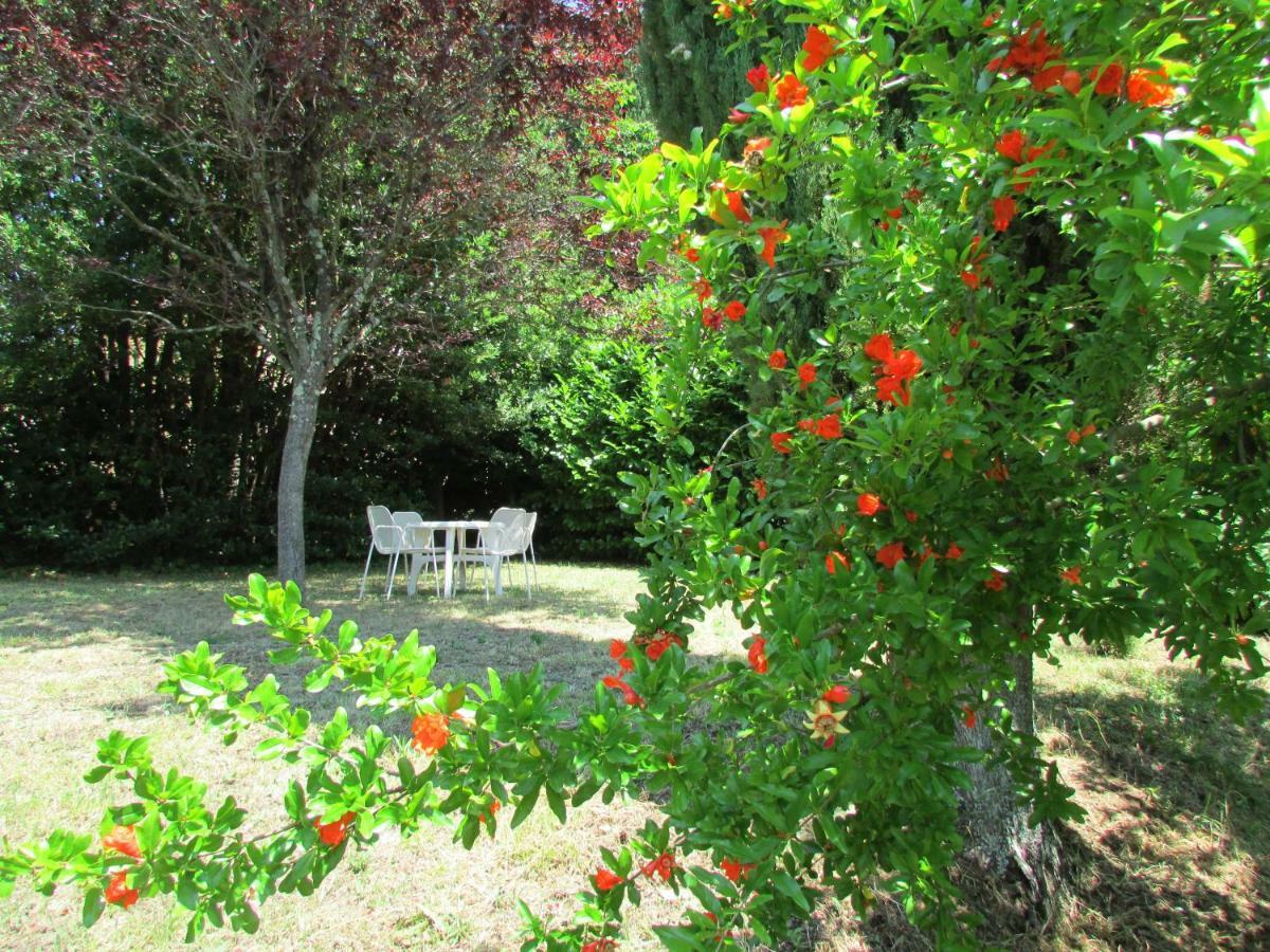 Agriturismo Dea Valfabbrica Esterno foto